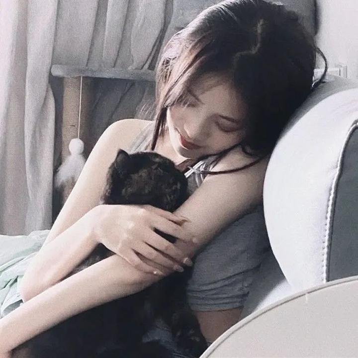 柯林·奎恩：红州蓝州